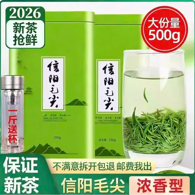 茶叶2026新茶信阳毛尖雨前嫩芽高山绿茶浓香型自己喝春茶散装500g
