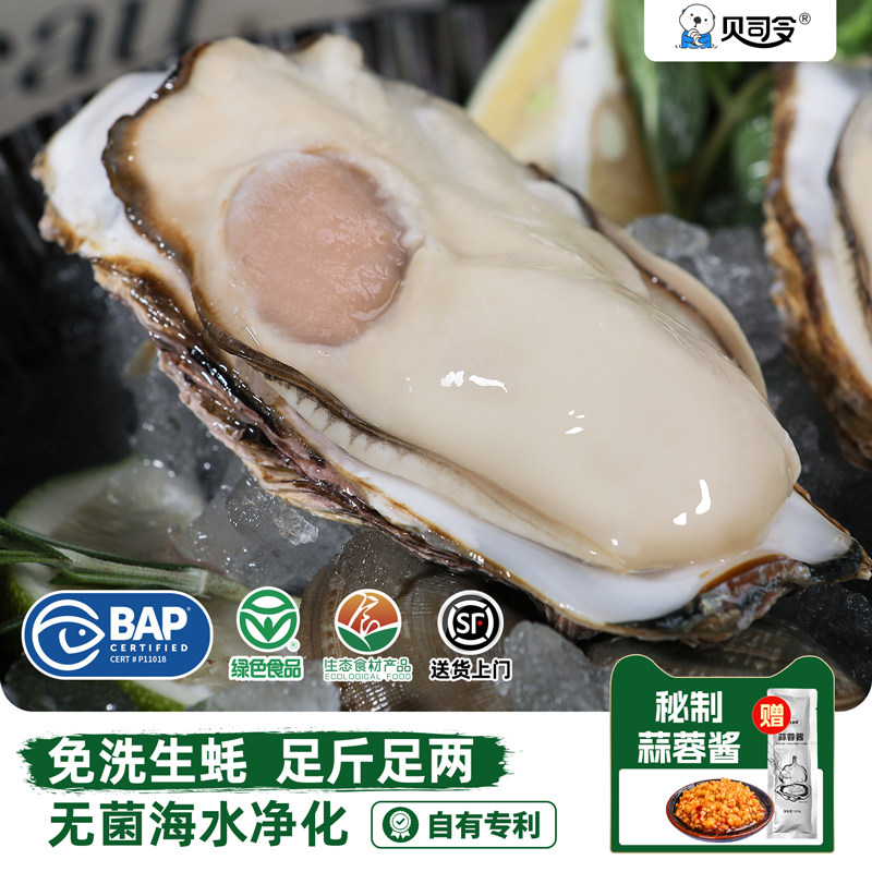 贝司令免洗生蚝鲜活净重5斤蚝王牡蛎海蛎子海鲜乳山蚝肉新鲜水产 - 实物图