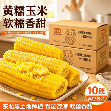 东北黄甜糯玉米10支真空装加热即食新鲜玉米低脂香糯多仓发货香甜