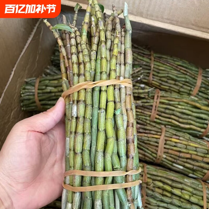 云南新鲜铁皮石斛鲜条食用滋补仿野生种植2-7年生现剪现发