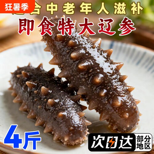 即食海参大连辽刺参鲜活非干货顺丰冷链肉质Q弹特大参滋补养殖