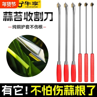 抽蒜苔神器蒜薹收割刀蒜苔剥拔划蒜薹神器拔剥提打蒜苔划蒜苗工具
