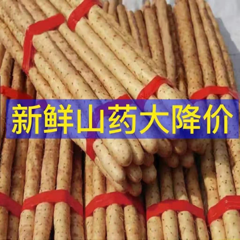 粉糯正宗铁棍山药现挖小白嘴山药铁杆山药新鲜淮山药蔬菜多规格