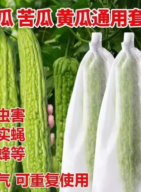 【万人加购】丝瓜苦瓜套袋防虫袋