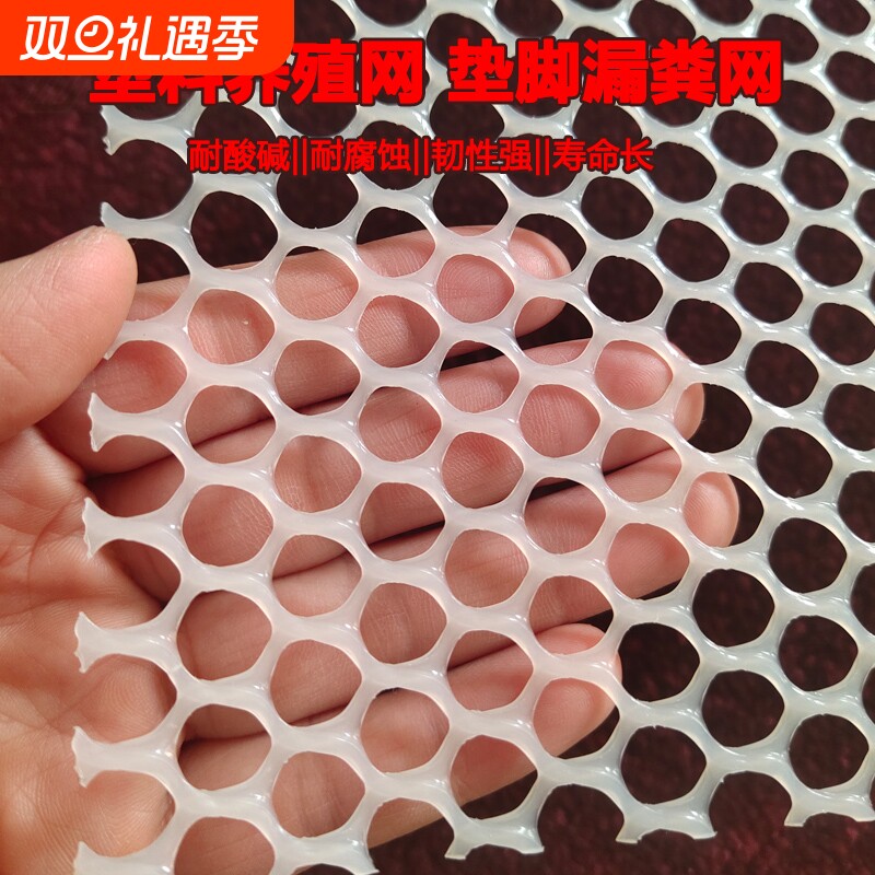 塑料平网养殖网鸡笼垫脚养鸡舍鸭鹅漏粪小鸡育雏网床垫网加厚小孔