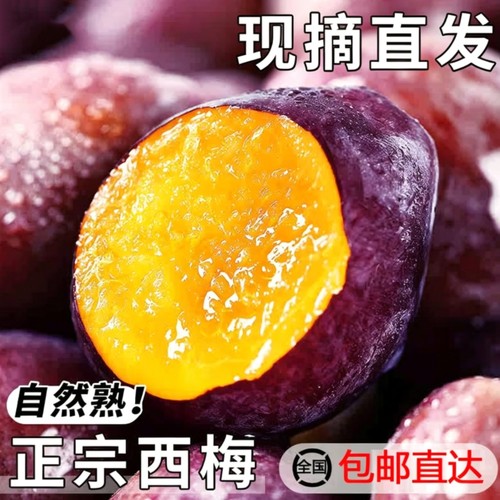 正宗陕西大西梅水果5斤洋李子孕妇新鲜生鲜健康包邮3现摘送达好吃
