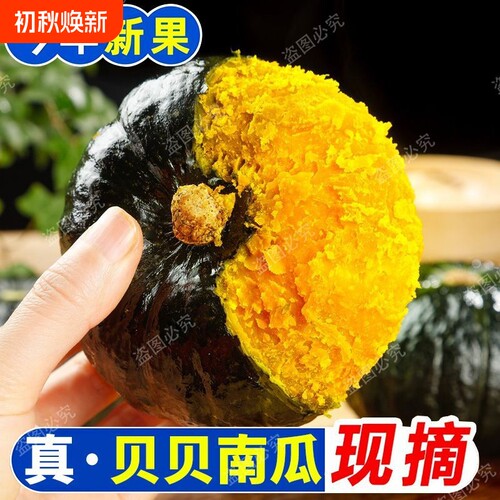 贝贝南瓜新鲜板栗味老南瓜大果