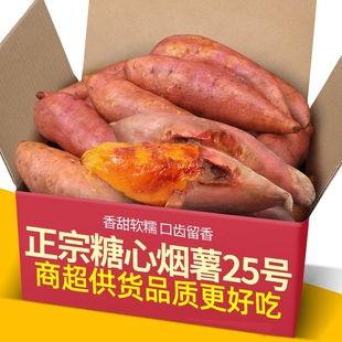正宗山东糖心烟薯25号蜜薯净重中大果5斤