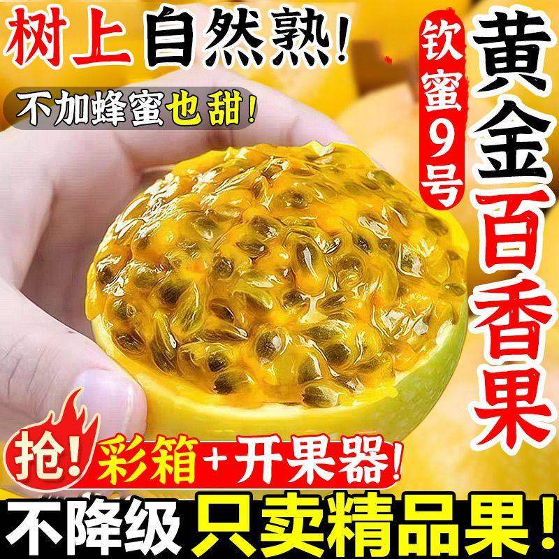 广西钦蜜9号黄金百香果新鲜果应季水果新鲜现摘大果整箱黄金大果,水产肉类/新鲜蔬果/熟食,百香果,淘宝优惠券,粉丝福利购,淘宝优惠卷