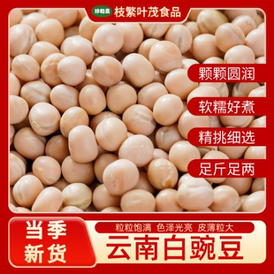 当季农家白豌豆干豌豆粒豆类杂粮新鲜白豌豆麻豌豆云南生豌豆批发