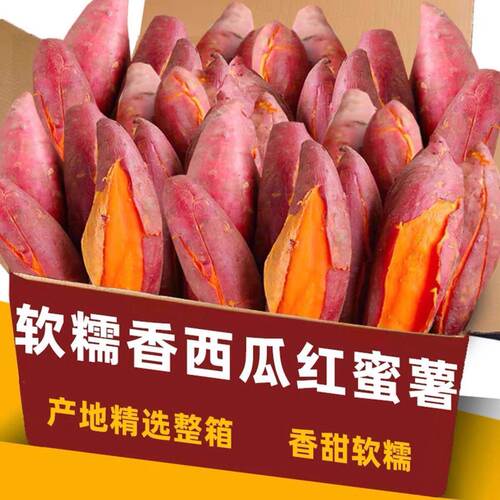 西瓜红蜜薯9斤板栗红薯新鲜烤地瓜糖心小番薯沙地农家山芋5精选