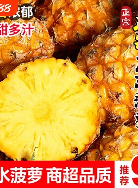 正宗广东湛江菠萝香甜多汁新鲜当季徐闻水果香水菠萝凤梨整箱