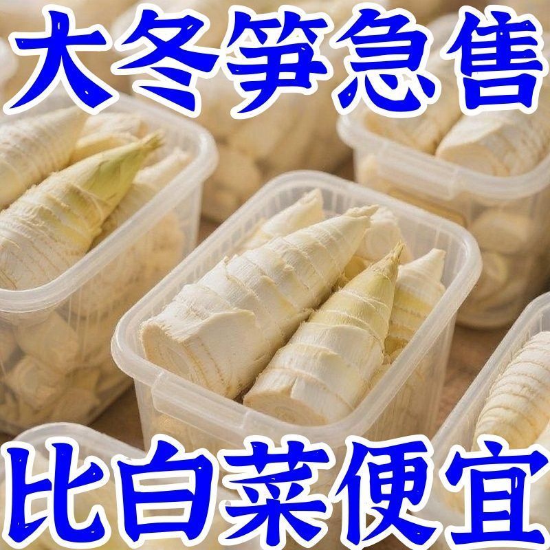 正宗江西冬笋新鲜笋尖5斤蔬菜火锅商用批发野生当季袋装嫩笋开袋