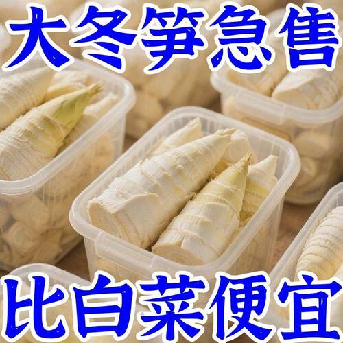 正宗江西冬笋新鲜笋尖5斤多规格蔬菜火锅商用批发野生当季袋装