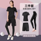 女速干衣春秋夏季 健身服跑步运动套装 羽毛球晨跑瑜伽衣服冰丝新款