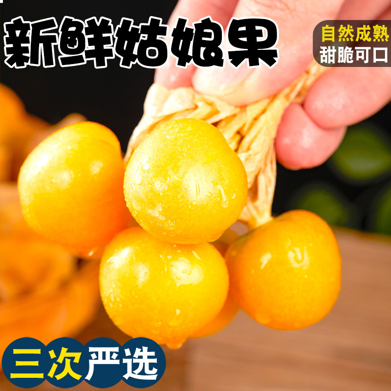 ����ѡ����������ʴ���ز�ˮ��������С����������� 3g 500g 23.8Ԫ