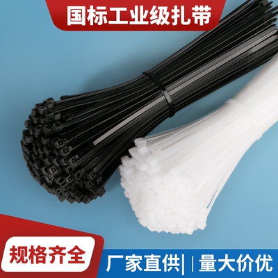 工业级自锁式尼龙扎带BECNKJ