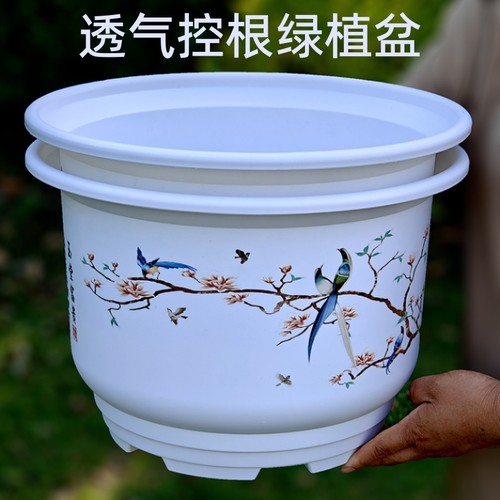 圆形花盆大号白色玫瑰种树盆栽盆