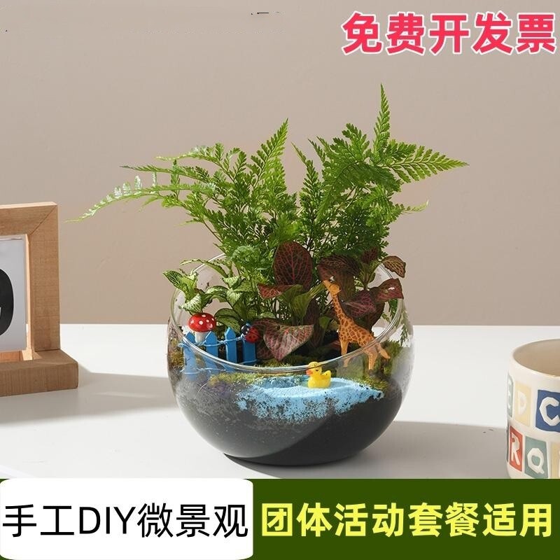 苔藓微景观diy材料包大切口瓶 创意玻璃球生态瓶子摆件礼品物套装
