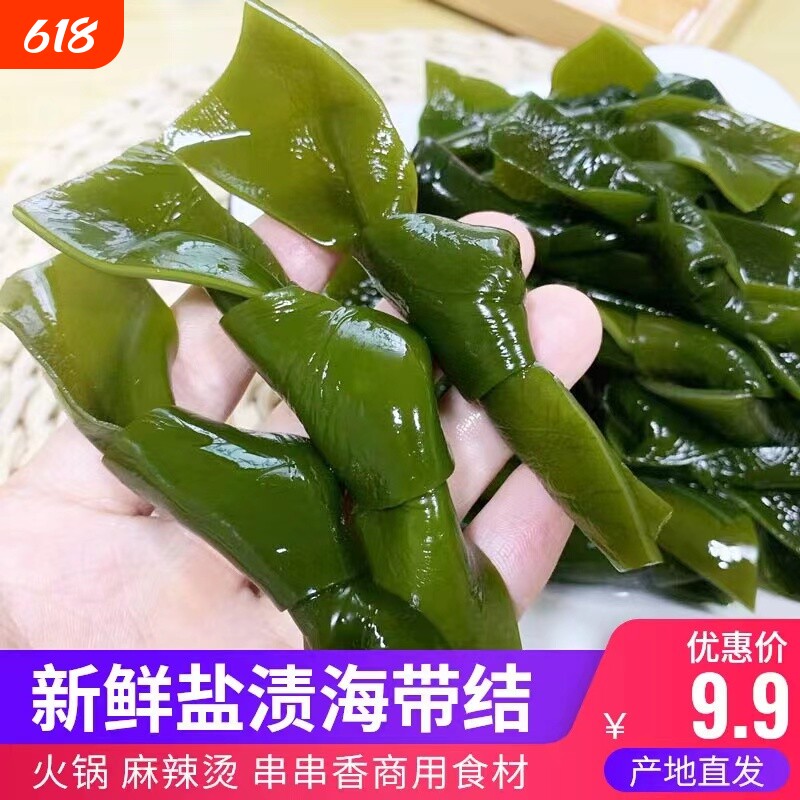 霞浦新鲜海带结商用批发关东煮食材盐渍昆布扣火锅凉拌串串煲汤