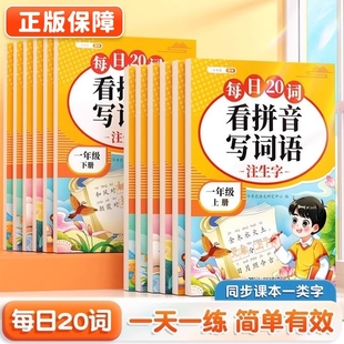 20词看拼音写词语一年级下册二年级上册三四五六年级小学语文同步专项训练练习册人教版 生字注音拼音拼读一练阅读积累练字6年级