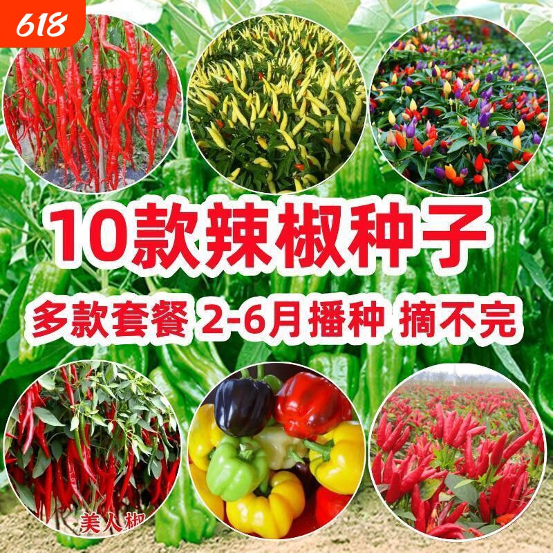 10款辣椒种子牛角辣五彩椒美人椒朝天椒青椒春季四季籽种苗蔬菜孑