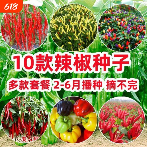 10款辣椒种子牛角辣五彩椒美人椒朝天椒青椒春季四季籽种苗蔬菜孑