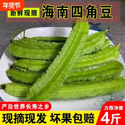 海南四角豆新鲜【净重包邮】四棱豆龙角豆到家蔬菜皇帝豆三亚特产