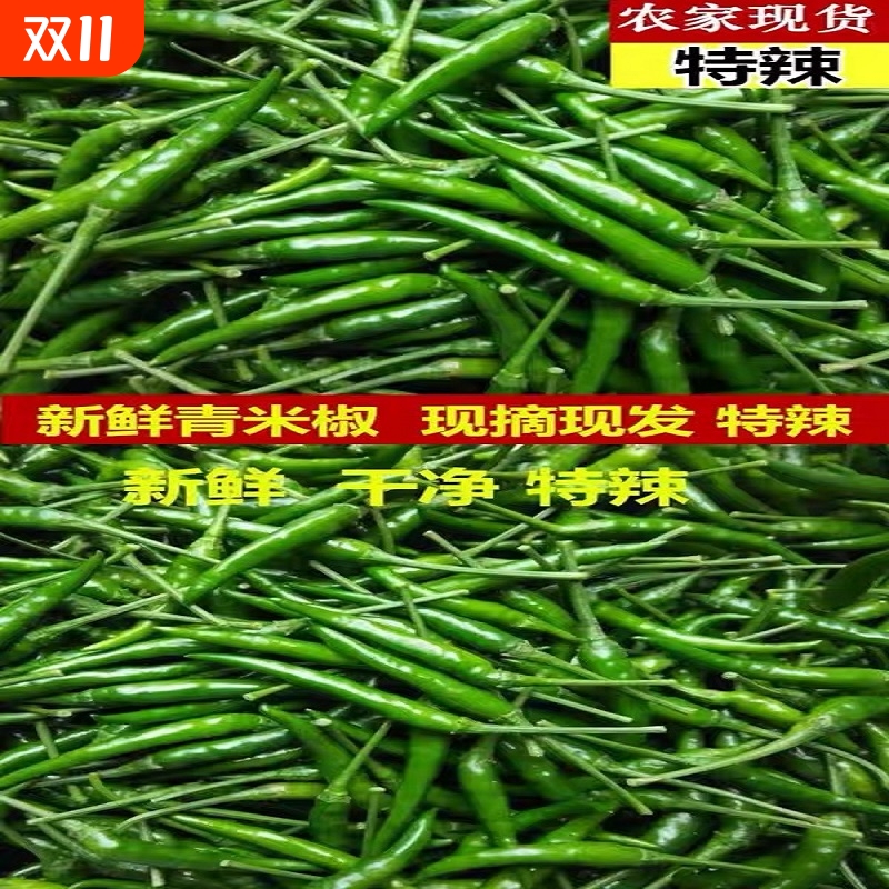新鲜青米椒辣椒蔬菜农家自种青小米辣超辣辣椒泡椒现摘朝天椒剁椒