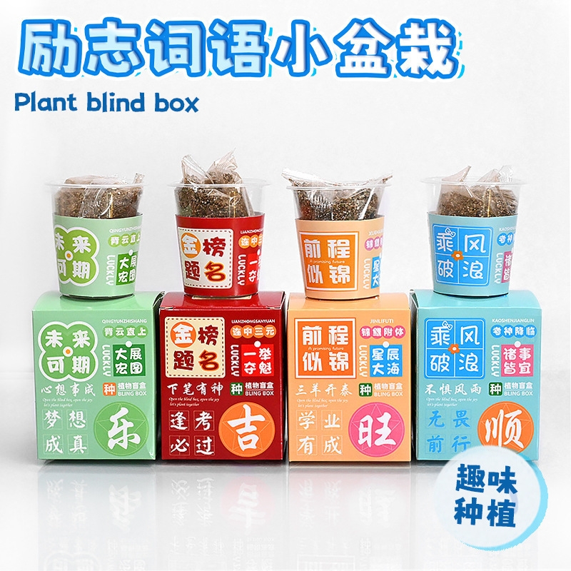 创意励志儿童种植盲盒幼儿园礼物观察水果花卉植物桌面摆件批发