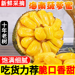 黄肉菠萝蜜三亚新鲜一整个水果波罗蜜海南特产大果孕妇包邮热带