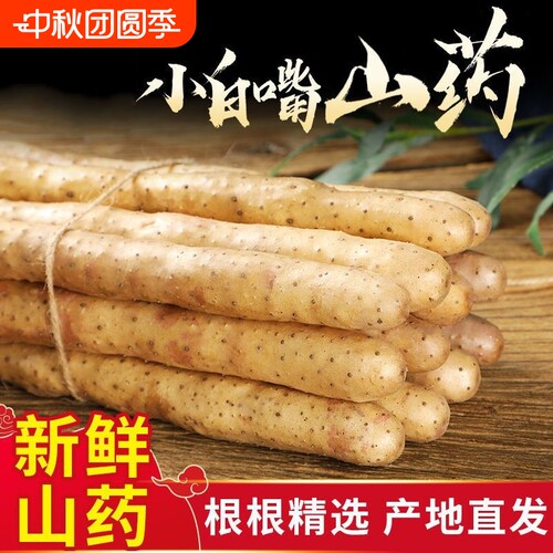 正宗新鲜蔬菜铁棍山药小白嘴山药现挖淮山药软糯5斤装怀山当季