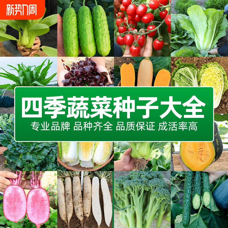 四季蔬菜种子大全番茄黄瓜香菜生菜辣椒茄子春季菜籽水果西瓜草莓