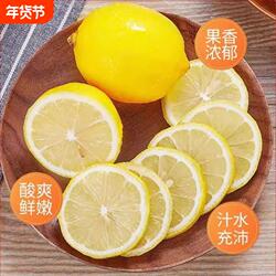 广东新鲜柠檬现摘黄柠檬装当季黄皮柠檬新鲜清热香水柠非安岳柠檬