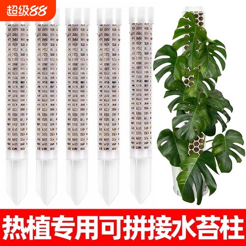水苔柱可拼接爬藤植物攀附柱绿绒攀爬柱固定支架