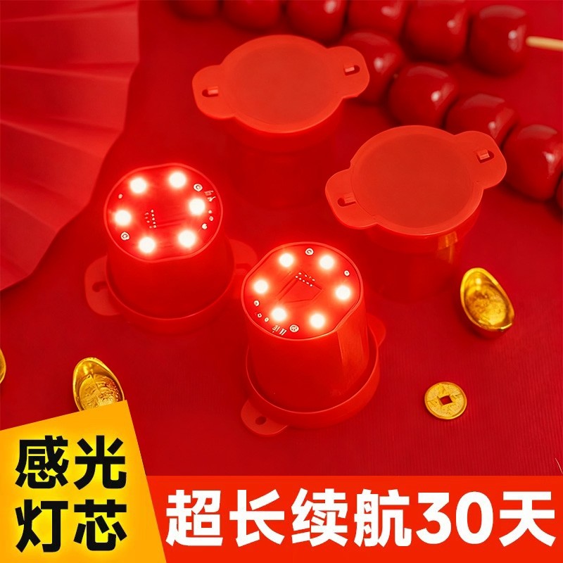 2026新款灯笼大门口免插电红色太阳能电池遥控led灯植绒伴侣灯