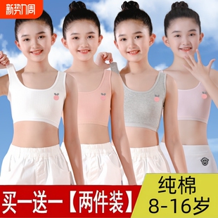 阶段无钢圈固定 16岁女童纯棉发育期小背心内衣学生抹胸背心式