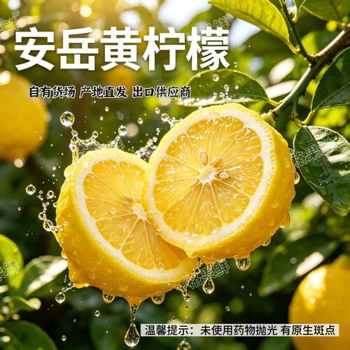 【檬小夏】四川安岳黄柠檬新鲜采摘水果手打柠檬饮品维C