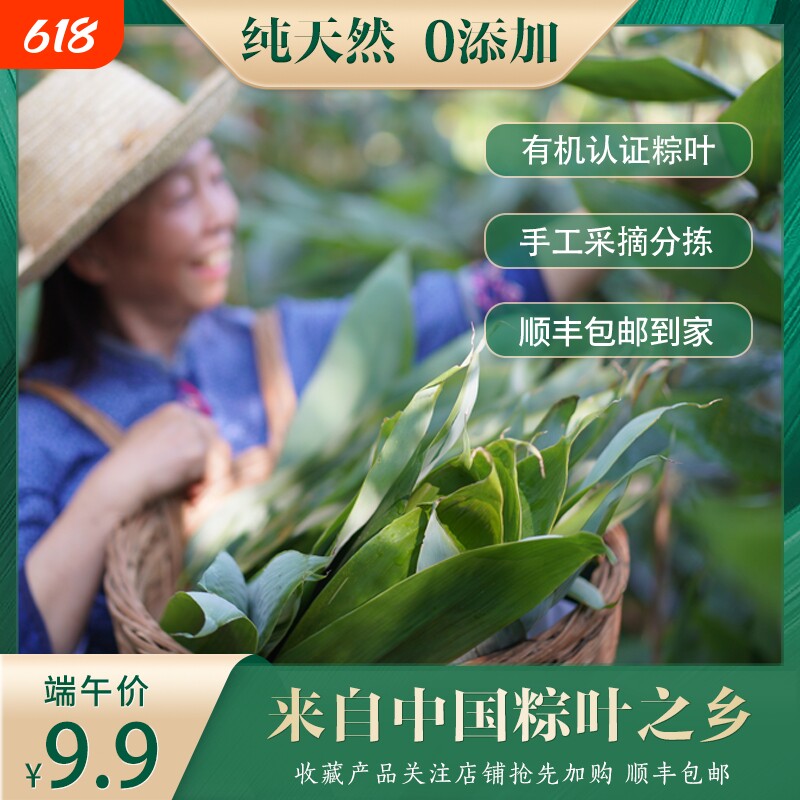 天然有机粽叶无添加端午新鲜大粽叶真空包装装箬竹叶现摘手工食用