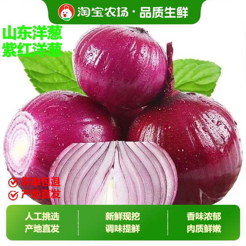 紫皮洋葱头秋四季红皮圆葱农家大田蔬菜现挖新鲜水果脆甜农场保存