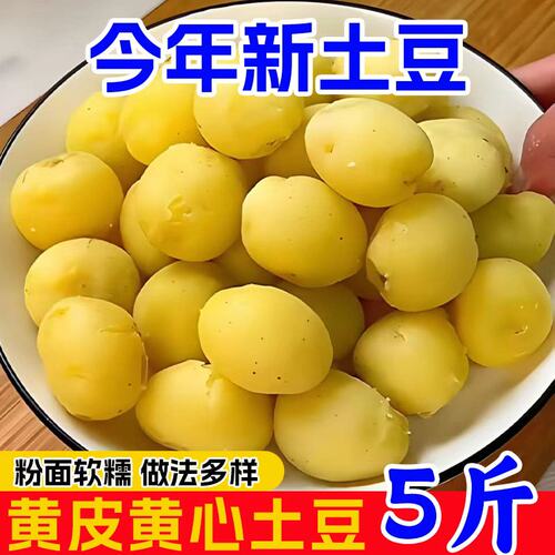 新鲜现挖恩施小土豆蔬菜