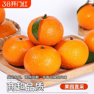 广西武鸣沃柑当季新鲜水果桔子橙子柑橘沃柑果园鲜果整箱包邮10斤