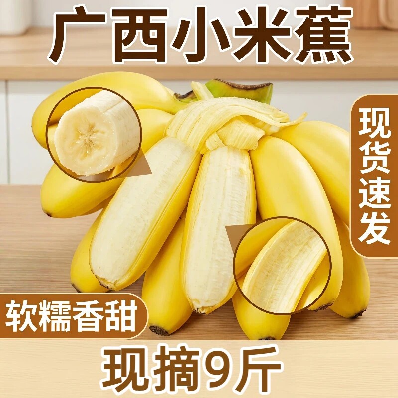 当季新鲜小米蕉迷你香蕉9斤整箱家庭装香甜软糯现摘产地直发包邮