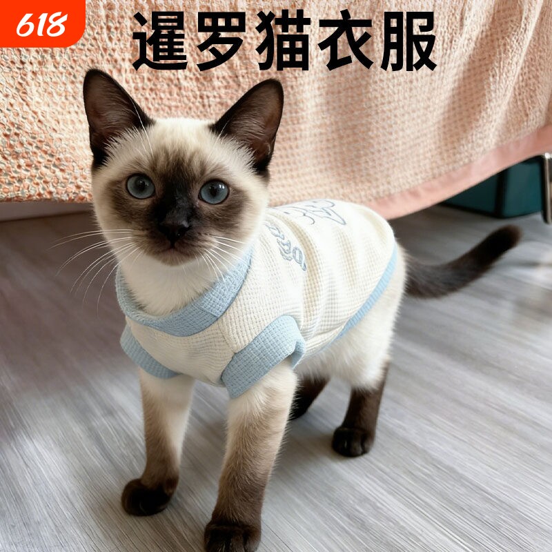 泰国猫衣服专用薄款猫咪防掉毛背心外出牵引装扮夏季用品宠物服饰