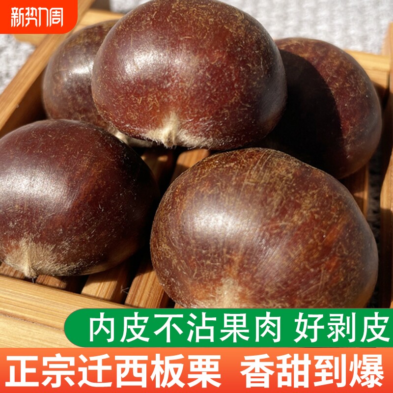 2025正宗迁西板栗生新鲜河北唐山栗子大栗燕山小油栗板粟毛板栗