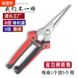 SK5不锈钢园艺剪刀修枝剪剪树枝专用剪刀剪枝剪刀农用果树花艺剪
