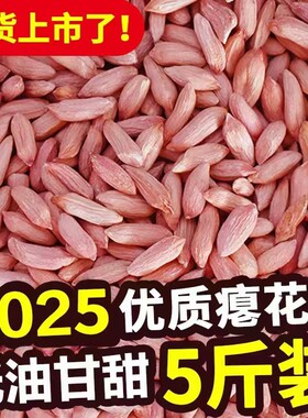 小瘪花生米山东小粒新货零食