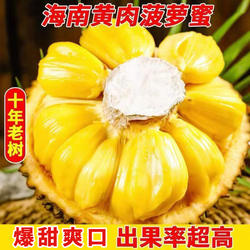 海南菠萝蜜一整个干苞新鲜果三亚保亭现摘大果特产批发20-40斤