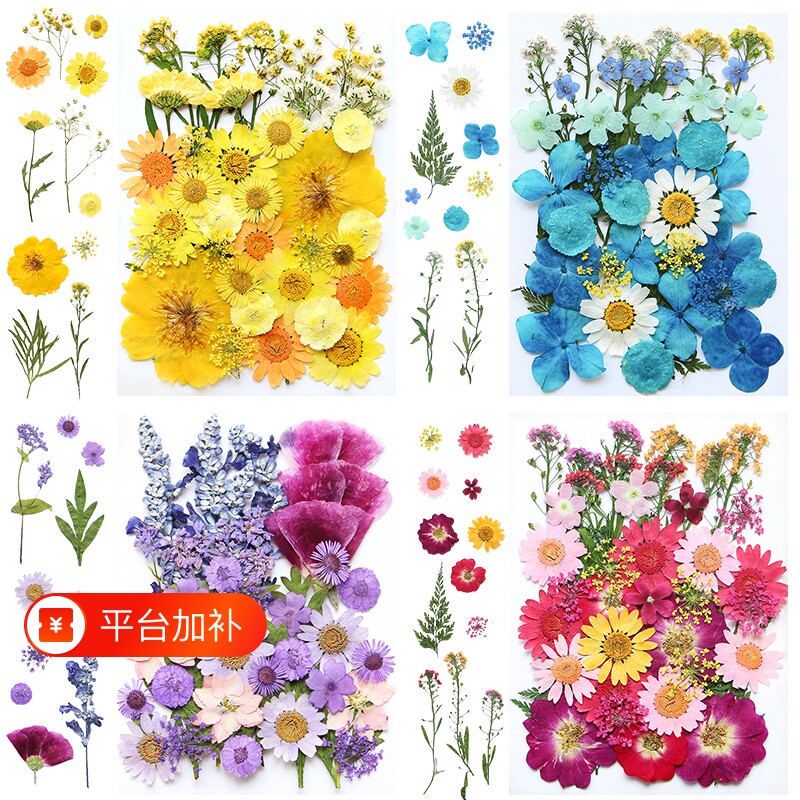 干花材料包diy永生花压花片草手工滴胶书签真花植物树叶标本秋日