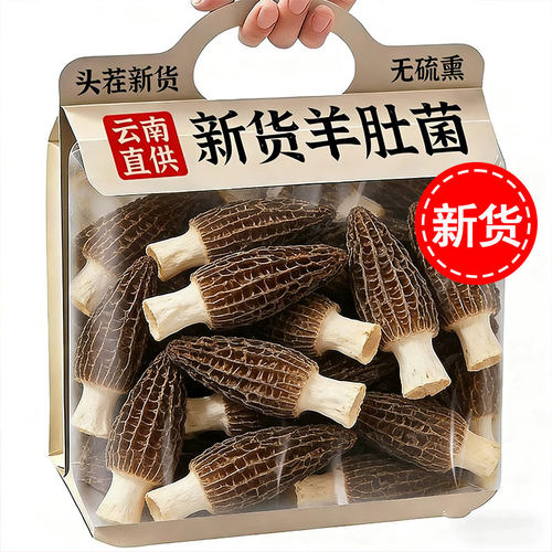 精品明星款羊肚菌干货煲汤